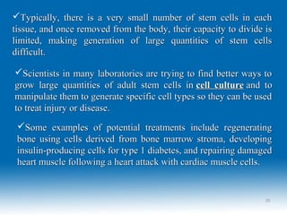 Typically, there is a very small number of stem cells in eachTypically, there is a very small number of stem cells in each
tissue, and once removed from the body, their capacity to divide istissue, and once removed from the body, their capacity to divide is
limited, making generation of large quantities of stem cellslimited, making generation of large quantities of stem cells
difficult.difficult.
Scientists in many laboratories are trying to find better ways toScientists in many laboratories are trying to find better ways to
grow large quantities of adult stem cells ingrow large quantities of adult stem cells in cell culturecell culture and toand to
manipulate them to generate specific cell types so they can be usedmanipulate them to generate specific cell types so they can be used
to treat injury or disease.to treat injury or disease.
Some examples of potential treatments include regeneratingSome examples of potential treatments include regenerating
bone using cells derived from bone marrow stroma, developingbone using cells derived from bone marrow stroma, developing
insulin-producing cells for type 1 diabetes, and repairing damagedinsulin-producing cells for type 1 diabetes, and repairing damaged
heart muscle following a heart attack with cardiac muscle cells.heart muscle following a heart attack with cardiac muscle cells.
2222
 