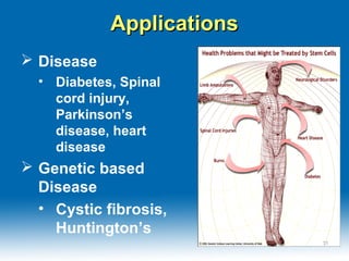 ApplicationsApplications
 Disease
• Diabetes, Spinal
cord injury,
Parkinson’s
disease, heart
disease
 Genetic based
Disease
• Cystic fibrosis,
Huntington’s
3131
 