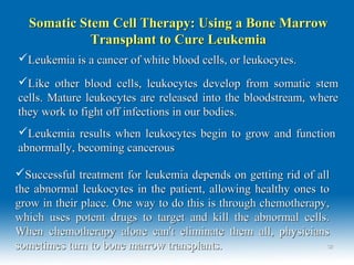 3232
Somatic Stem Cell Therapy: Using a Bone MarrowSomatic Stem Cell Therapy: Using a Bone Marrow
Transplant to Cure LeukemiaTransplant to Cure Leukemia
Leukemia is a cancer of white blood cells, or leukocytes.Leukemia is a cancer of white blood cells, or leukocytes.
Like other blood cells, leukocytes develop from somatic stemLike other blood cells, leukocytes develop from somatic stem
cells. Mature leukocytes are released into the bloodstream, wherecells. Mature leukocytes are released into the bloodstream, where
they work to fight off infections in our bodies.they work to fight off infections in our bodies.
Leukemia results when leukocytes begin to grow and functionLeukemia results when leukocytes begin to grow and function
abnormally, becoming cancerousabnormally, becoming cancerous
Successful treatment for leukemia depends on getting rid of allSuccessful treatment for leukemia depends on getting rid of all
the abnormal leukocytes in the patient, allowing healthy ones tothe abnormal leukocytes in the patient, allowing healthy ones to
grow in their place. One way to do this is through chemotherapy,grow in their place. One way to do this is through chemotherapy,
which uses potent drugs to target and kill the abnormal cells.which uses potent drugs to target and kill the abnormal cells.
When chemotherapy alone can't eliminate them all, physiciansWhen chemotherapy alone can't eliminate them all, physicians
sometimes turn to bone marrow transplants.sometimes turn to bone marrow transplants.
 