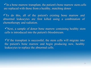3333
In a bone marrow transplant, the patient's bone marrow stem cellsIn a bone marrow transplant, the patient's bone marrow stem cells
are replaced with those from a healthy, matching donorare replaced with those from a healthy, matching donor
To do this, all of the patient's existing bone marrow andTo do this, all of the patient's existing bone marrow and
abnormal leukocytes are first killed using a combination ofabnormal leukocytes are first killed using a combination of
chemotherapy and radiation.chemotherapy and radiation.
Next, a sample of donor bone marrow containing healthy stemNext, a sample of donor bone marrow containing healthy stem
cells is introduced into the patient's bloodstream.cells is introduced into the patient's bloodstream.
If the transplant is successful, the stem cells will migrate intoIf the transplant is successful, the stem cells will migrate into
the patient's bone marrow and begin producing new, healthythe patient's bone marrow and begin producing new, healthy
leukocytes to replace the abnormal cells.leukocytes to replace the abnormal cells.
 