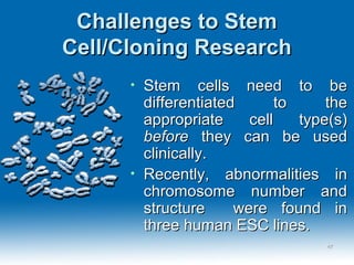 Challenges to StemChallenges to Stem
Cell/Cloning ResearchCell/Cloning Research
• Stem cells need to beStem cells need to be
differentiated to thedifferentiated to the
appropriate cell type(s)appropriate cell type(s)
beforebefore they can be usedthey can be used
clinically.clinically.
• Recently, abnormalities inRecently, abnormalities in
chromosome number andchromosome number and
structure were found instructure were found in
three human ESC lines.three human ESC lines.
4747
 
