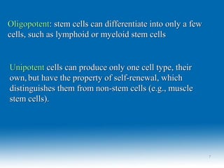 OligopotentOligopotent: stem cells can differentiate into only a few: stem cells can differentiate into only a few
cells, such as lymphoid or myeloid stem cellscells, such as lymphoid or myeloid stem cells
UnipotentUnipotent cells can produce only one cell type, theircells can produce only one cell type, their
own,own, but have the property of self-renewal, whichbut have the property of self-renewal, which
distinguishes them from non-stem cells (e.g., muscledistinguishes them from non-stem cells (e.g., muscle
stem cells).stem cells).
77
 