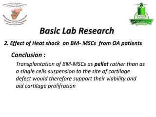 Transplantation of BM-MSCs as pellet rather than as
a single cells suspension to the site of cartilage
defect would therefore support their viability and
aid cartilage prolifration
Basic Lab Research
2. Effect of Heat shock on BM- MSCs from OA patients
Conclusion :
 