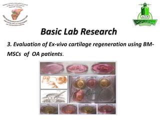3. Evaluation of Ex-vivo cartilage regeneration using BM-
MSCs of OA patients.
Basic Lab Research
 