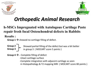 Orthopedic Animal Research
Group 1  showed no cartilage filling of defect.
Group 2
Group 3
Showed partial filling of the defect but was a bit better
in group 3 ( MOCART score 5 points )
Group 4  - Complete filling of defect
-Intact cartilage surface
-Complete integration with adjacent cartilage as seen
in Histopathology & T2 mapping MRI ( MOCART score 80 points )
h-MSCs Impregnated with Autologous Cartilage Paste
repair fresh focal Osteochondral defects in Rabbits
Results :
 