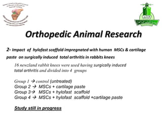 2- Impact of hylofast scaffold impregnated with human MSCs & cartilage
paste on surgically induced total arthritis in rabbits knees
Orthopedic Animal Research
16 newzland rabbit knees were used having surgically induced
total arthritis and divided into 4 groups
Group 1  control (untreated)
Group 2  MSCs + cartilage paste
Group 3 MSCs + hylofast scaffold
Group 4  MSCs + hylofast scaffold +cartilage paste
Study still in progress
 