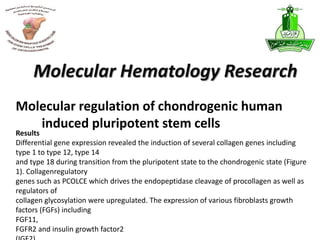 Molecular regulation of chondrogenic human
induced pluripotent stem cells
Molecular Hematology Research
Results
Differential gene expression revealed the induction of several collagen genes including
type 1 to type 12, type 14
and type 18 during transition from the pluripotent state to the chondrogenic state (Figure
1). Collagenregulatory
genes such as PCOLCE which drives the endopeptidase cleavage of procollagen as well as
regulators of
collagen glycosylation were upregulated. The expression of various fibroblasts growth
factors (FGFs) including
FGF11,
FGFR2 and insulin growth factor2
 
