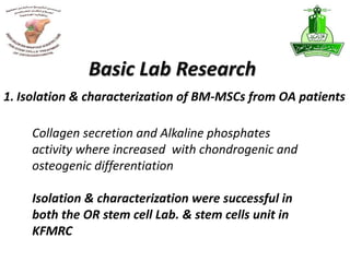 Basic Lab Research
Collagen secretion and Alkaline phosphates
activity where increased with chondrogenic and
osteogenic differentiation
Isolation & characterization were successful in
both the OR stem cell Lab. & stem cells unit in
KFMRC
1. Isolation & characterization of BM-MSCs from OA patients
 