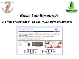 2. Effect of Heat shock on BM- MSCs from OA patients
Basic Lab Research
 