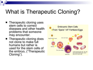 Stem Cell Research And Therapeutic Cloning | PPT