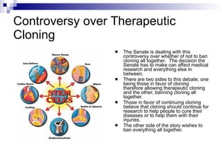 Stem Cell Research And Therapeutic Cloning | PPT