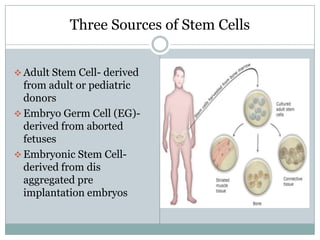 Three Sources of Stem Cells


 Adult Stem Cell- derived
  from adult or pediatric
  donors
 Embryo Germ Cell (EG)-
  derived from aborted
  fetuses
 Embryonic Stem Cell-
  derived from dis
  aggregated pre
  implantation embryos
 
