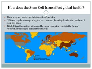 How does the Stem Cell Issue affect global health?

 There are great variations in international policies.
 Different regulations regarding the procurement, banking distribution, and use of
  stem cell lines.
 It inhibits collaboration within and between countries, restricts the flow of
  research, and impedes clinical translations.
 