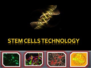 Stem cells | PPT