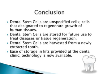  Dental Stem Cells are unspecified cells; cells
that designated to regenerate growth of
human tissues.
 Dental Stem Cells are stored for future use to
treat diseases or tissue regeneration.
 Dental Stem Cells are harvested from a newly
extracted tooth.
 Ease of storage in kits provided at the dental
clinic; technology is now available.
 