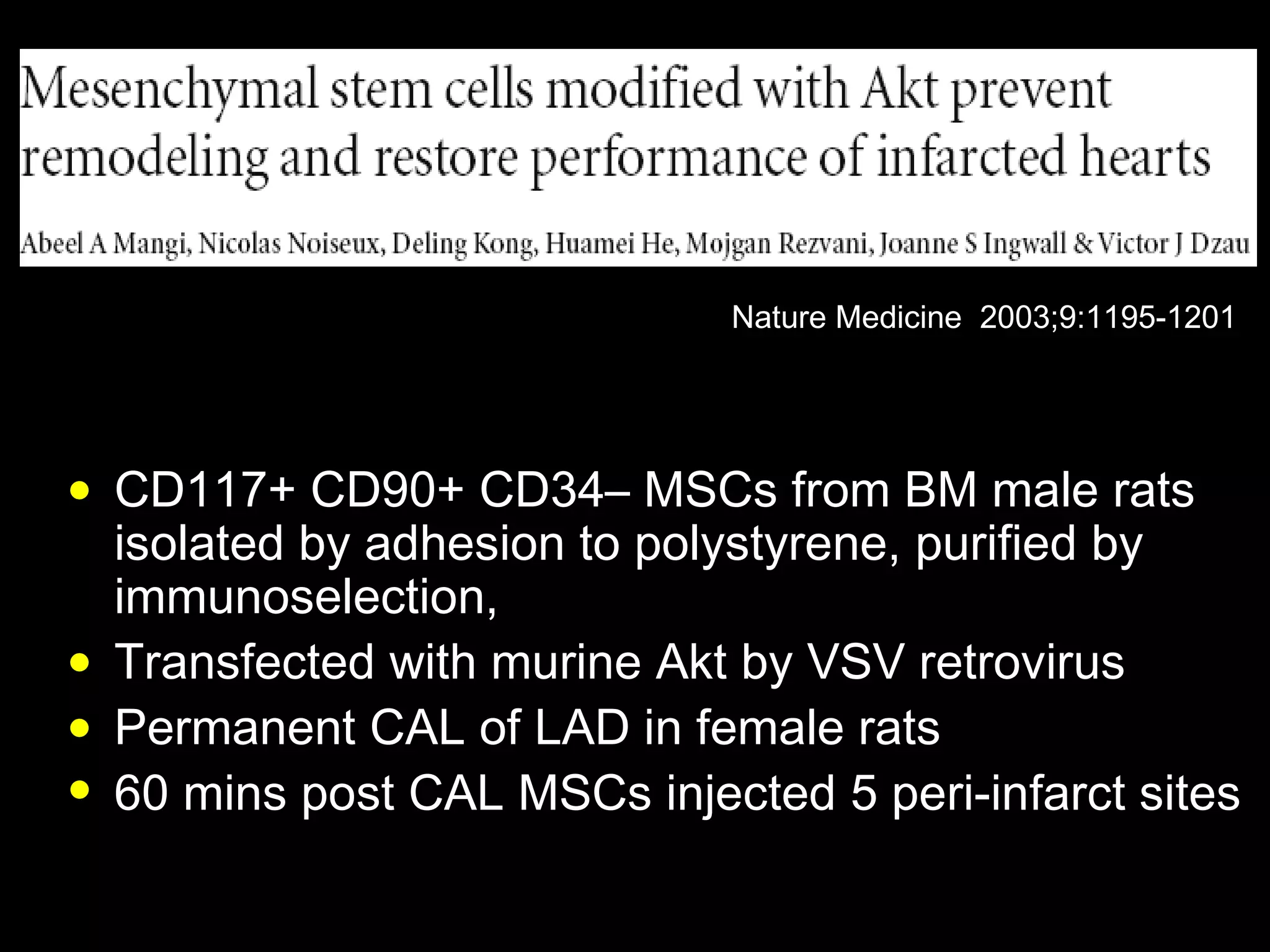 CD117+ CD90+ CD34– MSCs from BM male rats isolated by adhesion to polystyrene, purified by immunoselection,  Transfected with murine Akt by VSV retrovirus Permanent CAL of LAD in female rats 60 mins post CAL MSCs injected 5 peri-infarct sites Nature Medicine  2003;9:1195-1201 