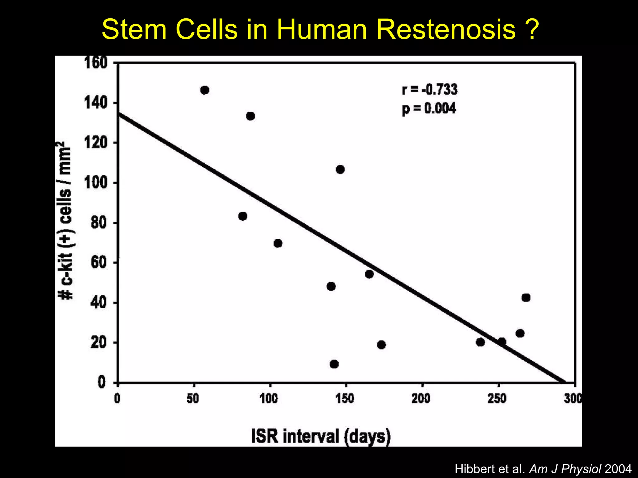 Stem Cells in Human Restenosis ? smc-actin c-kit+ Hibbert et al.  Am J Physiol  2004 