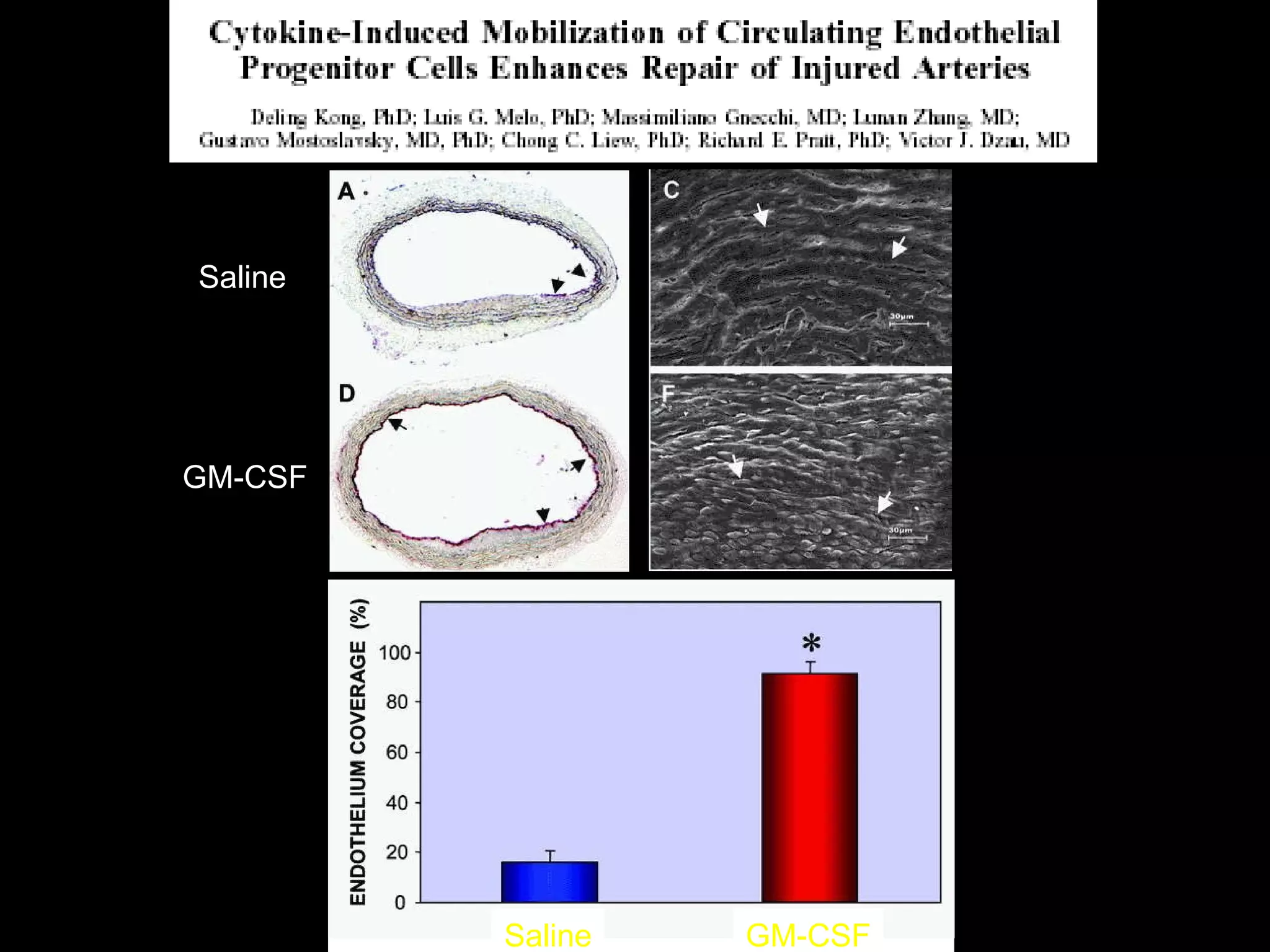Saline GM-CSF Saline GM-CSF 