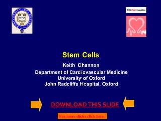 Stem Cells Keith  Channon Department of Cardiovascular Medicine University of Oxford John Radcliffe Hospital, Oxford For more slides click here     DOWNLOAD THIS SLIDE 