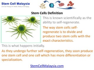 Stem Cells Definition
                             This is known scientifically as the
                             ability to self-regenerate.
                             The way stem cells self-
                             regenerate is to divide and
                             produce two stem cells with the
                             exact characteristics.
This is what happens initially.
As they undergo further self-regeneration, they soon produce
one stem cell and one cell which has more differentiation or
specialization.
                    StemCellMalaysia.com
 