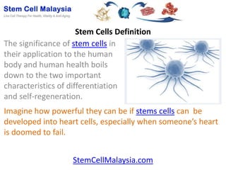 Stem Cells Definition
The significance of stem cells in
their application to the human
body and human health boils
down to the two important
characteristics of differentiation
and self-regeneration.
Imagine how powerful they can be if stems cells can be
developed into heart cells, especially when someone’s heart
is doomed to fail.


                    StemCellMalaysia.com
 