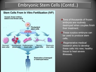Stem cells | PPT