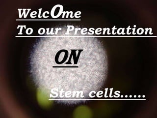 Welcome
To our Presentation

ON
Stem cells……

 