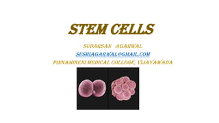 Stem Cells
SUDARSAN AGARWAL
sushiagarwal@gmail.com
Pinnamineni medical college, vijayawada

 