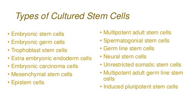 Stem cell research pros and cons essay