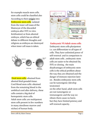 Stem cells by Islam Osman Page 2
for example muscle stem cells.
stem cells could be classified also
According to their origin into:
Embryonic stem cells: isolated
from the inner cell mass of the
blastocyst of the discarded
embryos after IVF( in vitro
fertilization) or from aborted
embryos ,which has an ethical
debate in different thoughts and
religions as embryos are destroyed
when inner cell mass is taken.
Fetal stem cells: obtained from
aborted fetal gonadal tissue.
Cord blood stem cells: obtained
from the remaining blood in the
umbilical cord after delivery, these
cells contain a big deal of
hemopoietic stem cells.
Adult stem cells: are multipotent
stem cells present in few numbers
in many sites(bone marrow and
niches) of human body.
Embryonic VS Adult stem cells
Embryonic stem cells pluripotent
i.e. can differentiate to all types of
cells. They have unlimited power of
self-renewal .and in comparison to
adult stem cells , embryonic stem
cells are easier to be obtained (by
IVF) or cloning . the main
disadvantages of embryonic stem
cells is the ethical problem about
the way they are obtained and the
danger of immune rejection later
on . Besides embryonic stem cells
can be tumorigenic (develop
teratomes)
on the other hand, adult stem cells
are not tumorigenic or
immunogenic and the way we
obtain them cause no harm.
but they have limited potency and
self-renewal capacity.
 