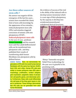 Stem cells by Islam Osman Page 3
Are there other sources of
stem cells ?
the answer was negative till the
emergence of the last few years ,
science have exceeded the classic
limit of stem cells knowledge by
the appearance of two miracles ,
induced pluripotent stem cells
(IPSc) and stimulus triggered
conversion of somatic cells into
pluripotency (STAP) .
Induced pluripotent stem cells
In the year of 2007 , professor
Shinya Yamanaka and his research
team said that aduld defferenitated
cells can be transformed into
pluripotent cells , and they
published their results of
transforming adult human
fibroblasts into pluripotent cells by
defined factors.
the evidence of success of the trial
is the ability of the induced cells to
develop tumors (teratoma) which
is a sure sign of their pluripotency
by the capacity to develop into
ectodermal,mesenchymal,
endodermal derived structures.
Shinya Yamanaka was given
Nobel Prize in physiology for
the year 2012 in grateful to his
promising work .
 