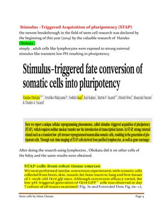 Stem cells by Islam Osman Page 4
Stimulus –Triggered Acquisition of pluripotency (STAP)
the newest breakthrough in the field of stem cell research was declared by
the beginning of this year (2014) by the valuable research of Haruko
Obokata .
simply , adult cells like lymphocytes were exposed to strong external
stimulus like transient low PH resulting in plruipotency.
After doing the resarch using lymphoctes , Obokata did it on other cells of
the bdoy and the same results were obtained.
 