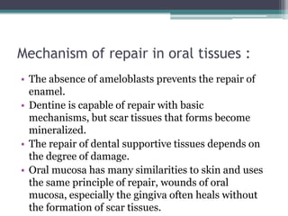 Mechanism of repair in oral tissues :
• The absence of ameloblasts prevents the repair of
enamel.
• Dentine is capable of repair with basic
mechanisms, but scar tissues that forms become
mineralized.
• The repair of dental supportive tissues depends on
the degree of damage.
• Oral mucosa has many similarities to skin and uses
the same principle of repair, wounds of oral
mucosa, especially the gingiva often heals without
the formation of scar tissues.
 
