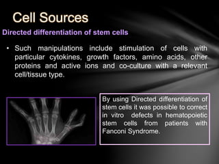 Cell Sources 
Directed differentiation of stem cells 
• Such manipulations include stimulation of cells with 
particular cytokines, growth factors, amino acids, other 
proteins and active ions and co-culture with a relevant 
cell/tissue type. 
By using Directed differentiation of 
stem cells it was possible to correct 
in vitro defects in hematopoietic 
stem cells from patients with 
Fanconi Syndrome. 
 