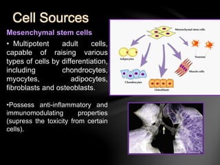 Cell Sources 
Mesenchymal stem cells 
• Multipotent adult cells, 
capable of raising various 
types of cells by differentiation, 
including chondrocytes, 
myocytes, adipocytes, 
fibroblasts and osteoblasts. 
•Possess anti-inflammatory and 
immunomodulating properties 
(supress the toxicity from certain 
cells). 
 