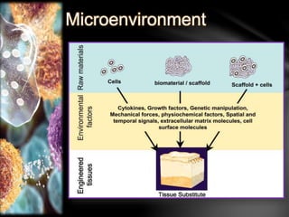 Microenvironment 
 