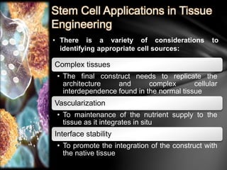 Stem Cell Applications in Tissue 
Engineering 
• There is a variety of considerations to 
identifying appropriate cell sources: 
Complex tissues 
• The final construct needs to replicate the 
architecture and complex cellular 
interdependence found in the normal tissue 
Vascularization 
• To maintenance of the nutrient supply to the 
tissue as it integrates in situ 
Interface stability 
• To promote the integration of the construct with 
the native tissue 
 