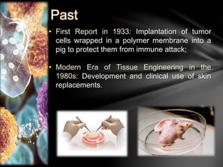 Past 
• First Report in 1933: Implantation of tumor 
cells wrapped in a polymer membrane into a 
pig to protect them from immune attack; 
• Modern Era of Tissue Engineering in the 
1980s: Development and clinical use of skin 
replacements. 
 
