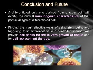 Conclusion and Future 
• A differentiated cell, one derived from a stem cell, will 
exhibit the normal immunogenic characteristics of that 
particular type of differentiated cell. 
• Finding the most effective ways of using stem cells, and 
triggering their differentiation in a controlled manner will 
provide cell banks for the in vitro growth of tissue and 
for cell replacement therapy. 
 