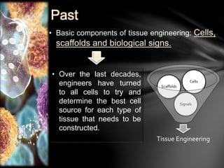 Past 
• Basic components of tissue engineering: Cells, 
scaffolds and biological signs. 
Cells 
Signals 
Scaffolds 
Tissue Engineering 
• Over the last decades, 
engineers have turned 
to all cells to try and 
determine the best cell 
source for each type of 
tissue that needs to be 
constructed. 
 