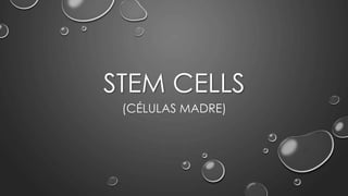 STEM CELLS
(CÉLULAS MADRE)
 