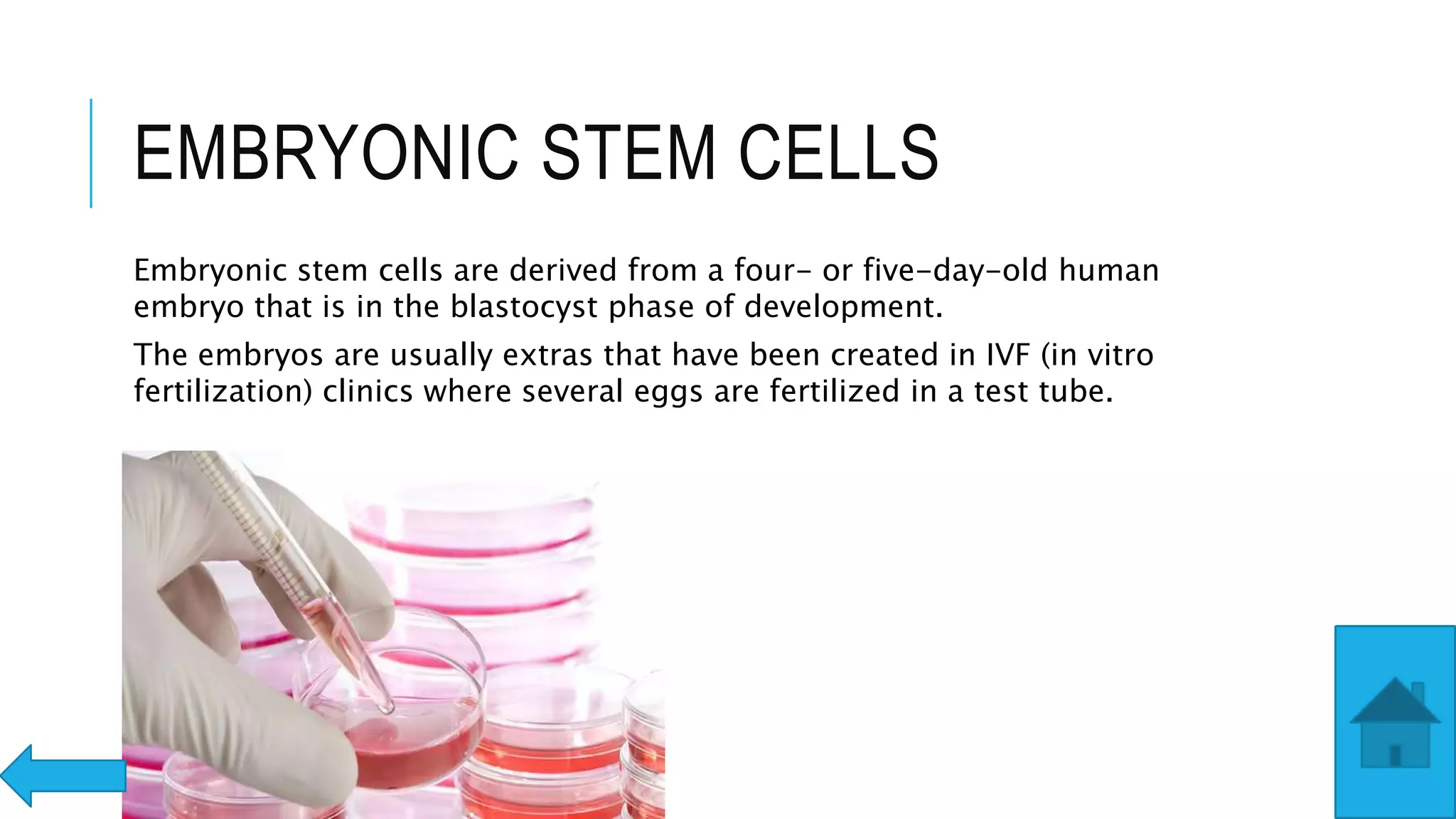 Stem cells | PPTX