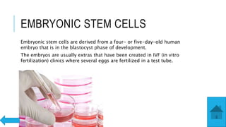 EMBRYONIC STEM CELLS
Embryonic stem cells are derived from a four- or five-day-old human
embryo that is in the blastocyst phase of development.
The embryos are usually extras that have been created in IVF (in vitro
fertilization) clinics where several eggs are fertilized in a test tube.
 