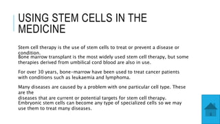 USING STEM CELLS IN THE
MEDICINE
Stem cell therapy is the use of stem cells to treat or prevent a disease or
condition.
Bone marrow transplant is the most widely used stem cell therapy, but some
therapies derived from umbilical cord blood are also in use.
For over 30 years, bone-marrow have been used to treat cancer patients
with conditions such as leukaemia and lymphoma.
Many diseases are caused by a problem with one particular cell type. These
are the
diseases that are current or potential targets for stem cell therapy.
Embryonic stem cells can become any type of specialized cells so we may
use them to treat many diseases.
 