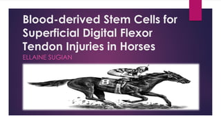 Blood-derived Stem Cells for
Superficial Digital Flexor
Tendon Injuries in Horses
ELLAINE SUGIAN
 