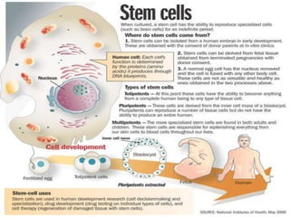 Stem cells | PPTX
