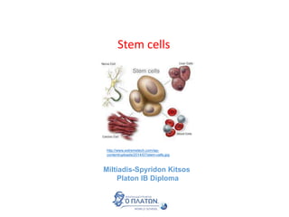 Stem cells
http://www.extremetech.com/wp-
content/uploads/2014/07/stem-cells.jpg
Miltiadis-Spyridon Kitsos
Platon IB Diploma
 