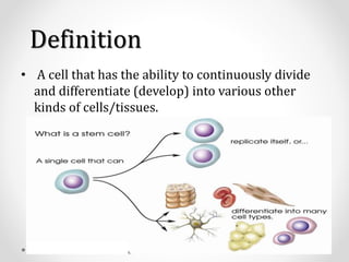 define stem cell biology define stem cell biology