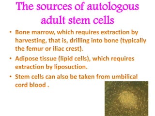 The sources of autologous
adult stem cells
 