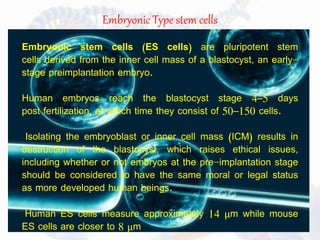 Stem cells | PPTX